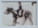 Horse rider lll