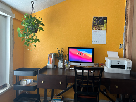 I'm not one of those crazy anti-vaxxers but...