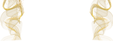 healthcare (7).png