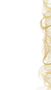Untitled design (1).png