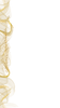 Untitled design (1)_edited.png