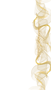 Untitled design.png