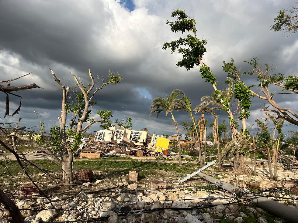 Damages to trees and housing infrastructure aftermath of Hurricane Melissa