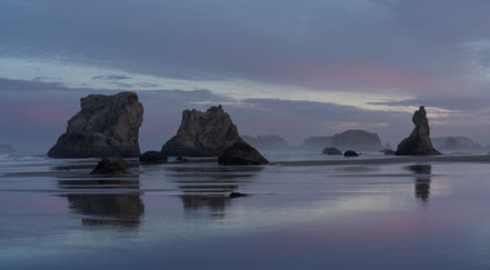 Oregon Coast 2022-27.jpg