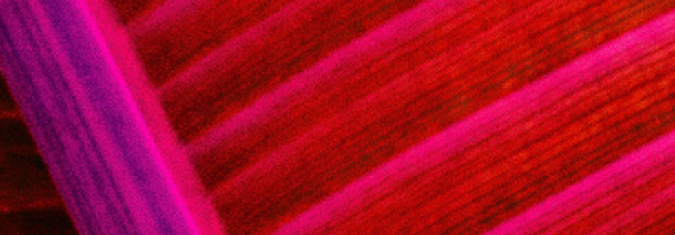 samuel-elias-nadler-RJVo868OVyo-unsplash