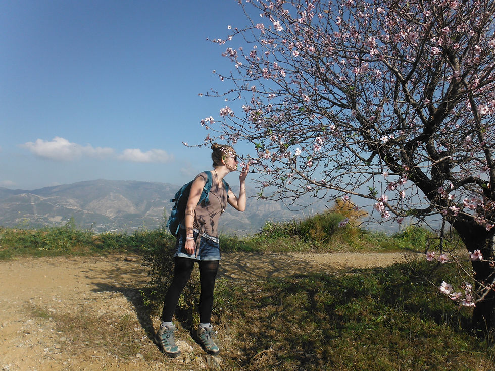 Wandern