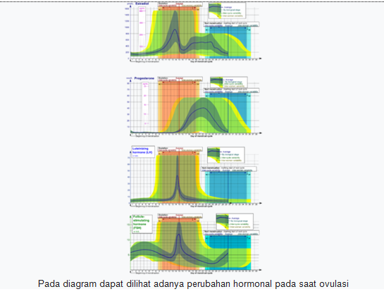 Perubahan Suhu Basal Tubuh - Memprediksi Masa Subur Dengan Metode Suhu