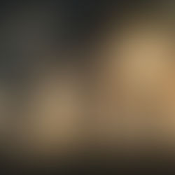 Fighting Alone. Fighting On.