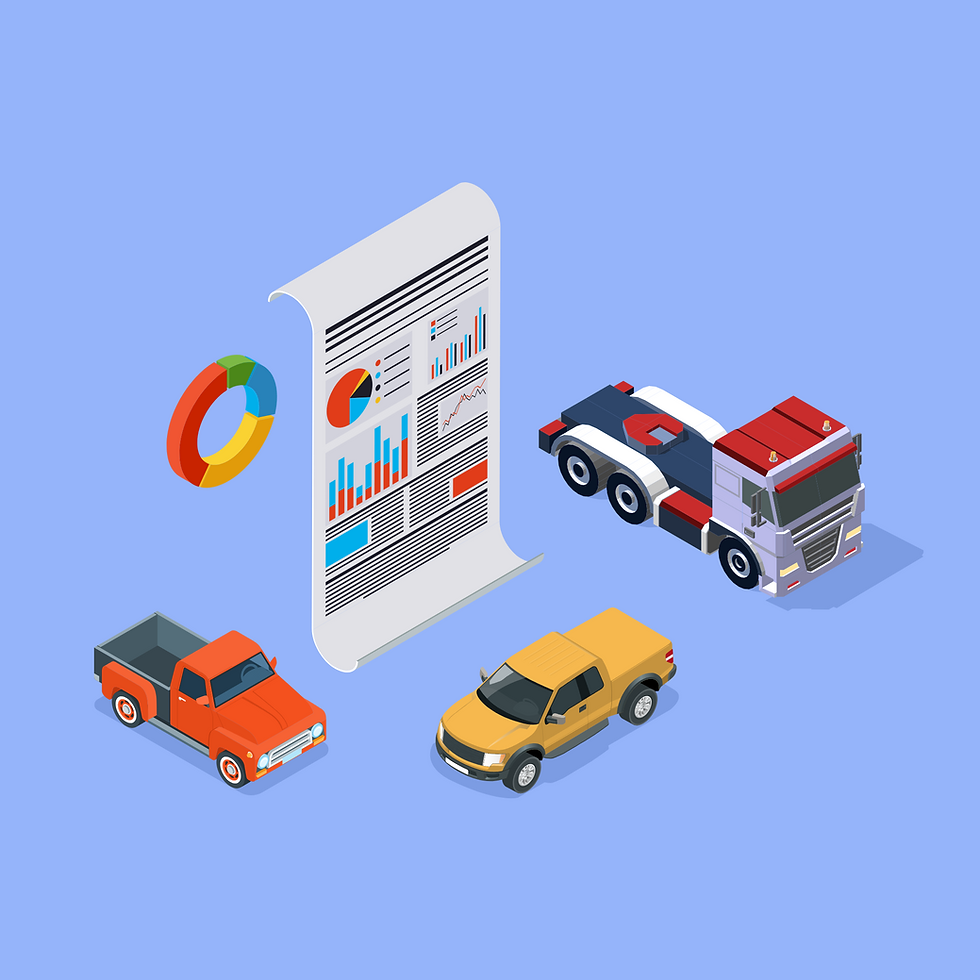 Asset Profile