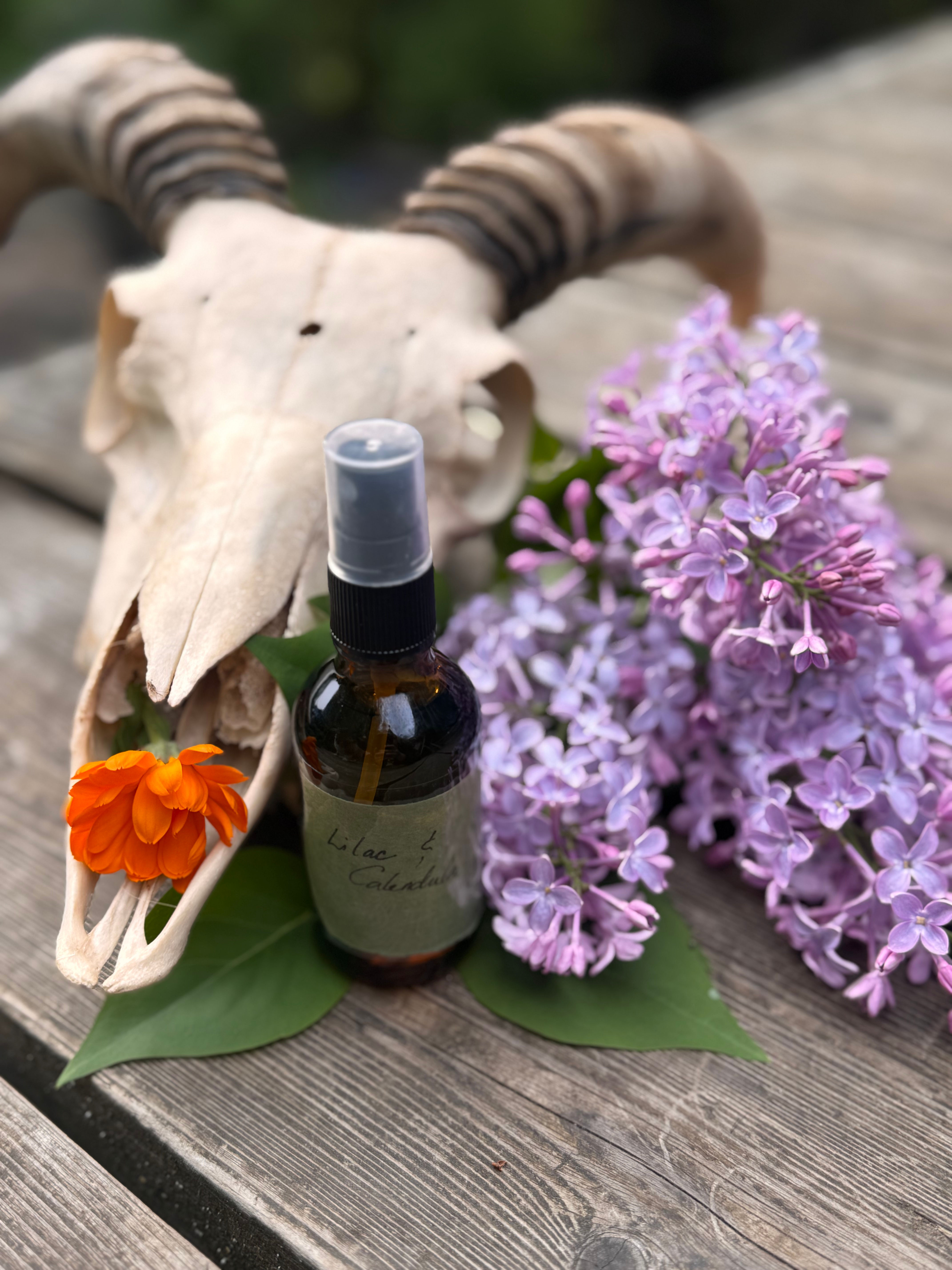 Fresh spring Lilac & Calendula Spray