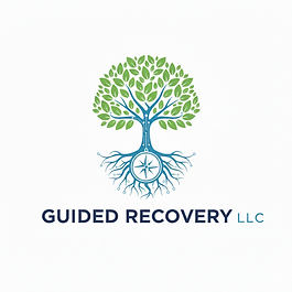 The Guided Recovery Overview: Digital Brochure