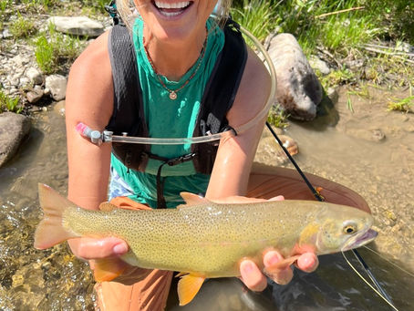 The South Fork Strategy: Why the River is the Ultimate Manual Override