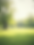 abstract soft watercolor landscape of local park.png