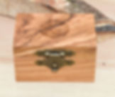 Thumbnail: Battle of Falling Waters English Walnut Witness Tree Ring