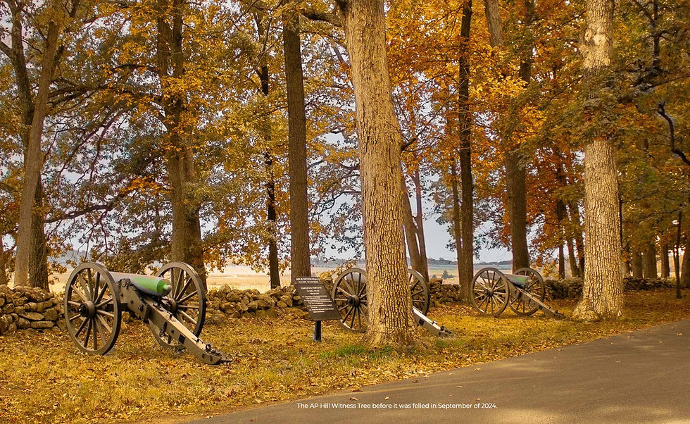 Thumbnail: General Ambrose Powell Hill, CSA, Oak Witness Tree Gift Set
