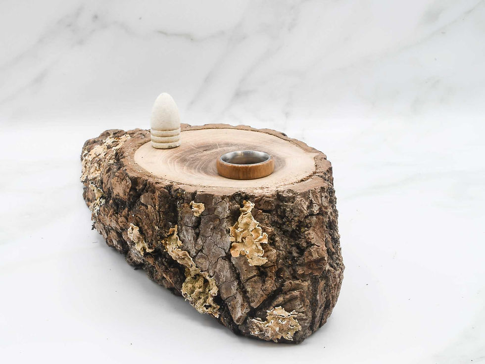 Thumbnail: Battle of Hanover Oak Witness Tree Ring