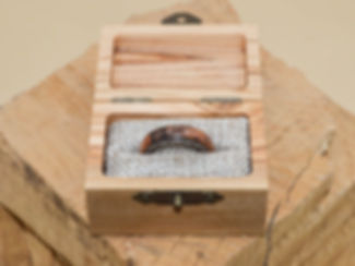 The Bloody Wheatfield Oak Witness Tree Ring