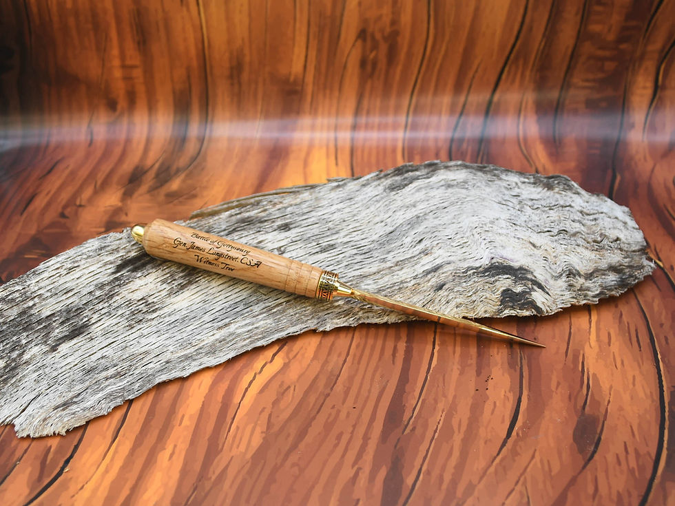 Thumbnail: General James Longstreet, CSA, Oak Witness Tree Letter Opener