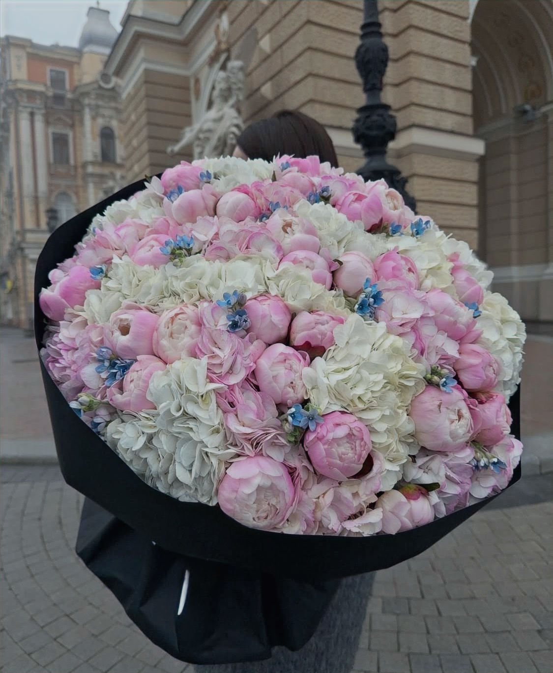 Blush Peony & Hydrangea Cloud