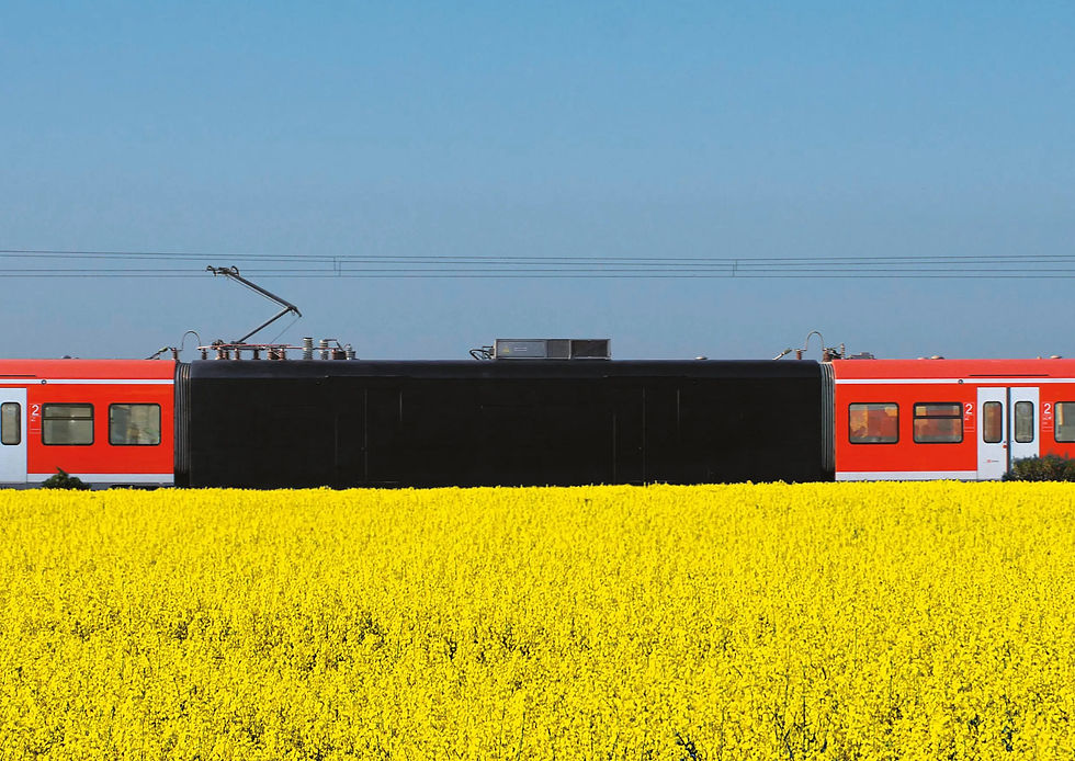 MOSES TAPS_ SIGNED_Bild_3_ (1).jpg