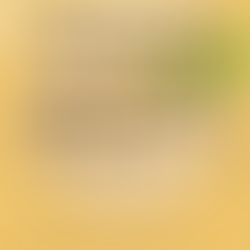 第97回飯島真里子（2025）『コナコーヒーのグローバル・ヒストリーーー太平洋空間の重層的移動史』京都大学学術出版会．