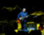 Elvis Costello