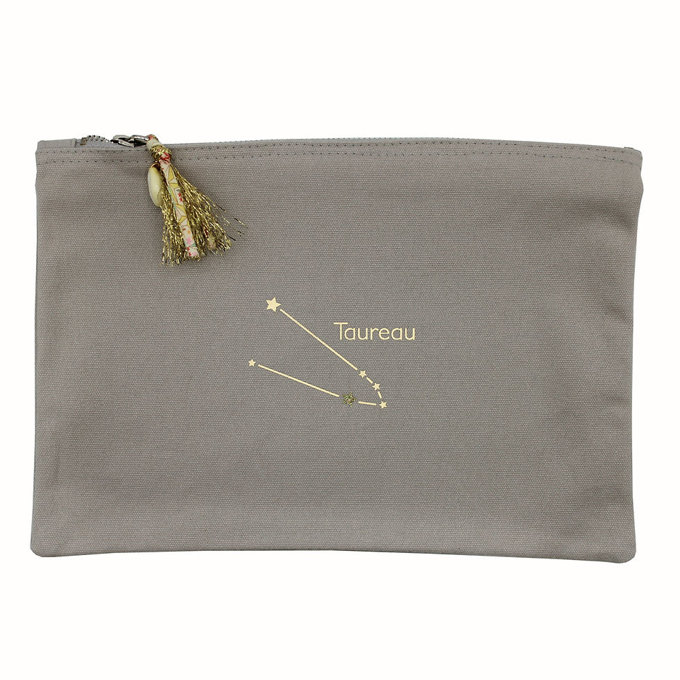 Miniature : Pochette grise astro