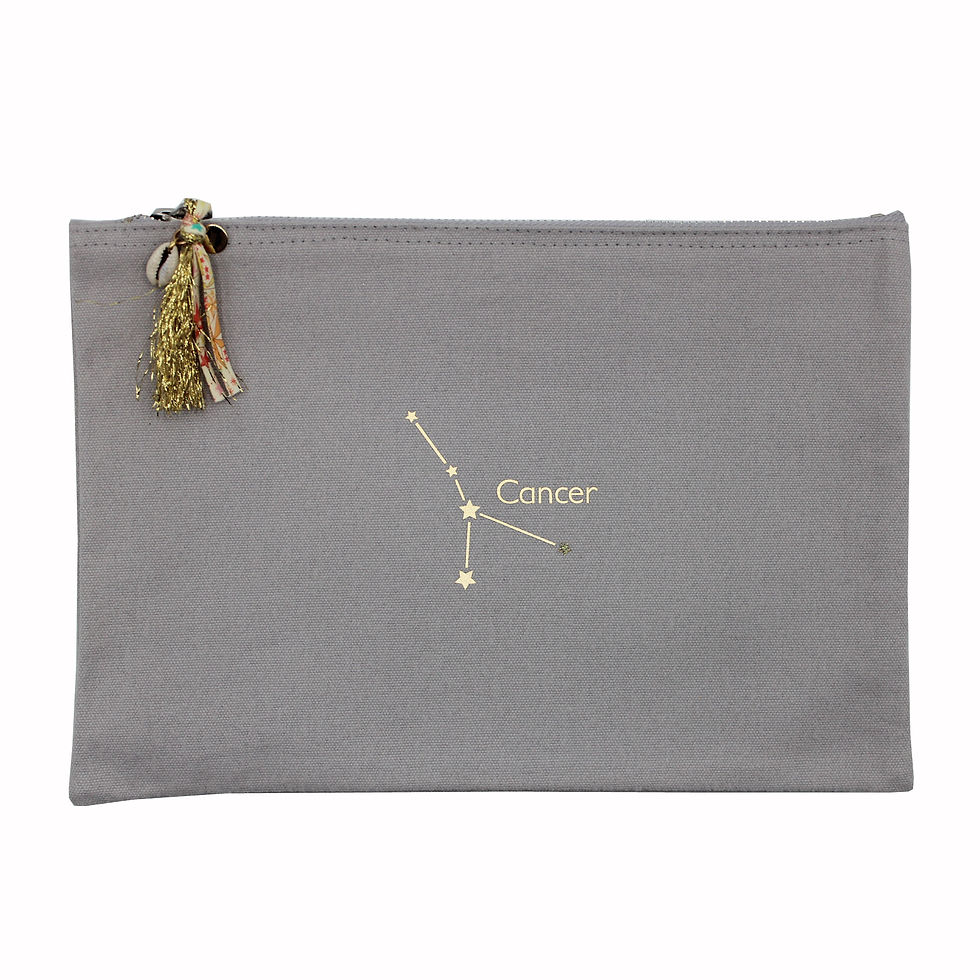 Miniature : Pochette grise astro