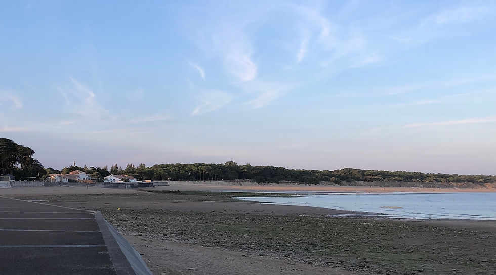 Nettoyage de plage Saint Vincent sur Jard