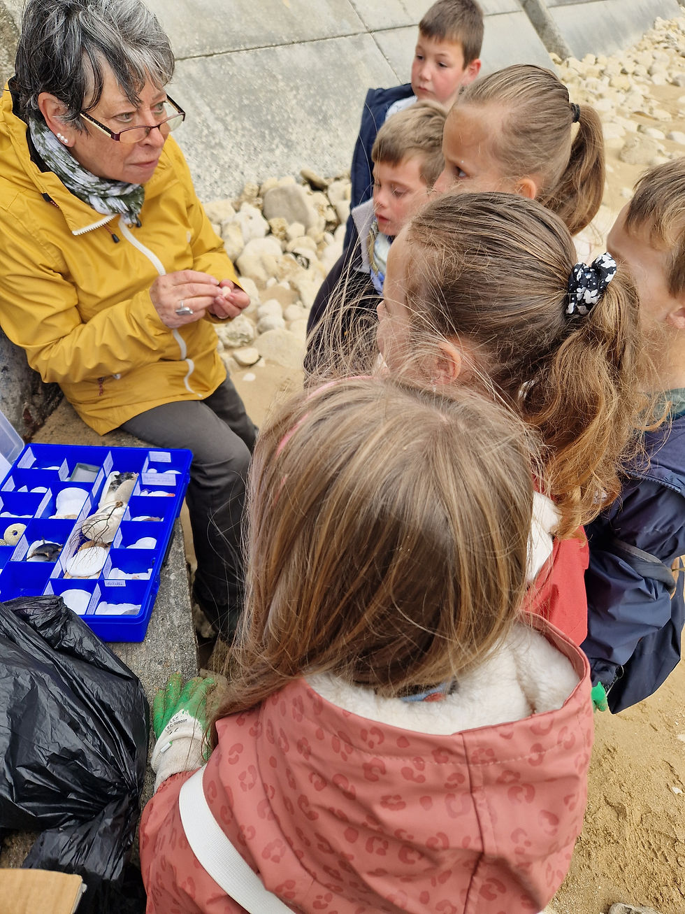 Pêche à pied et laisse de mer avec l'Espace Jeunesse