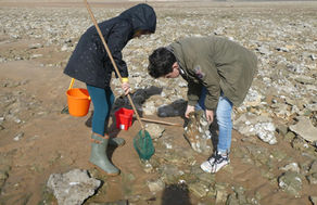 Pêche à pied et écueils à eviter