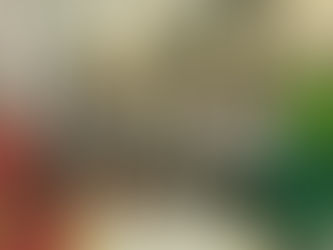 Brigada de Emergência da Masa se Prepara para a Segurança