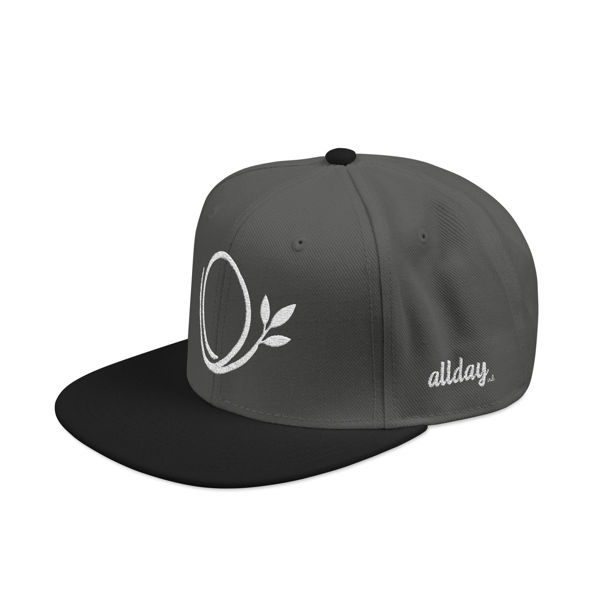 allday industries logo Snapback hat | Embroidered logo, adjustable back