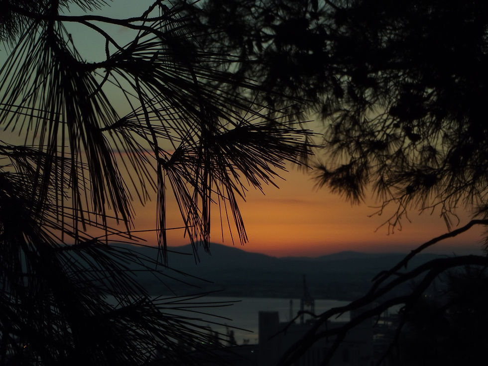Haifa 2014