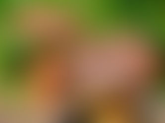 Dietetyczne fakty i mity - cz. VIII