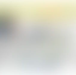 この1年半の活動報告