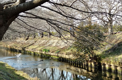 問われる市の姿勢。市民の声をなぜ聞かないのか【後編】