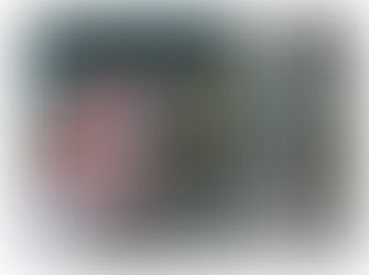 海老川氾濫の想定被害額