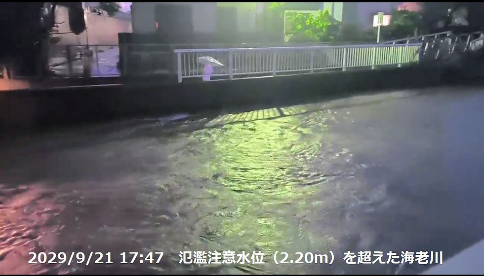 引き潮が守った海老川