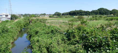 読売新聞が医療センター移転の問題を掲載