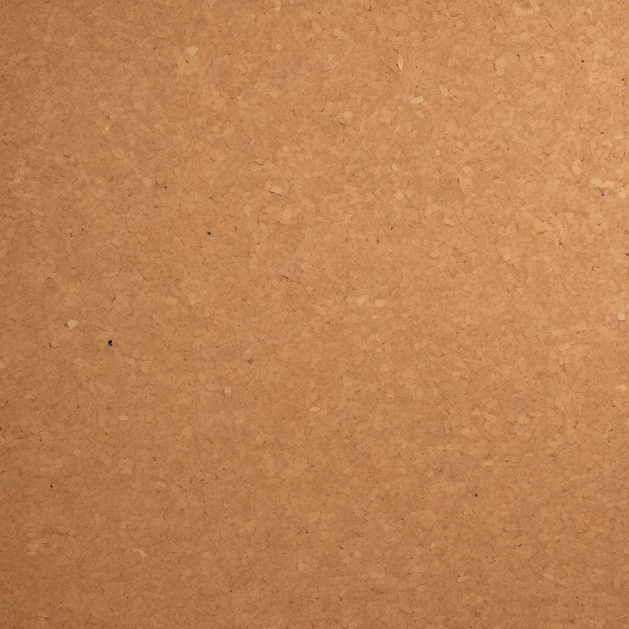 Very Large Corkboard .jpg