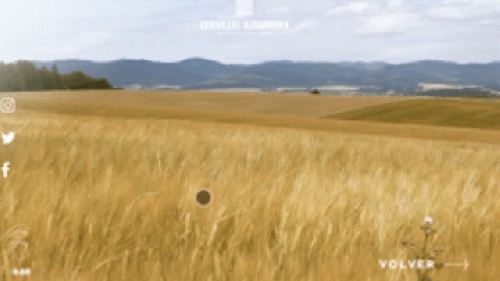 500-1.gif