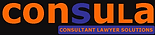 Legal Consultant Start Up Business Support