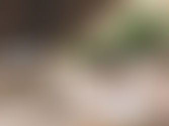 Como Melhorar o Bem-Estar dentro do Espaço?