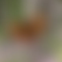 Inspiration: where does it come from?