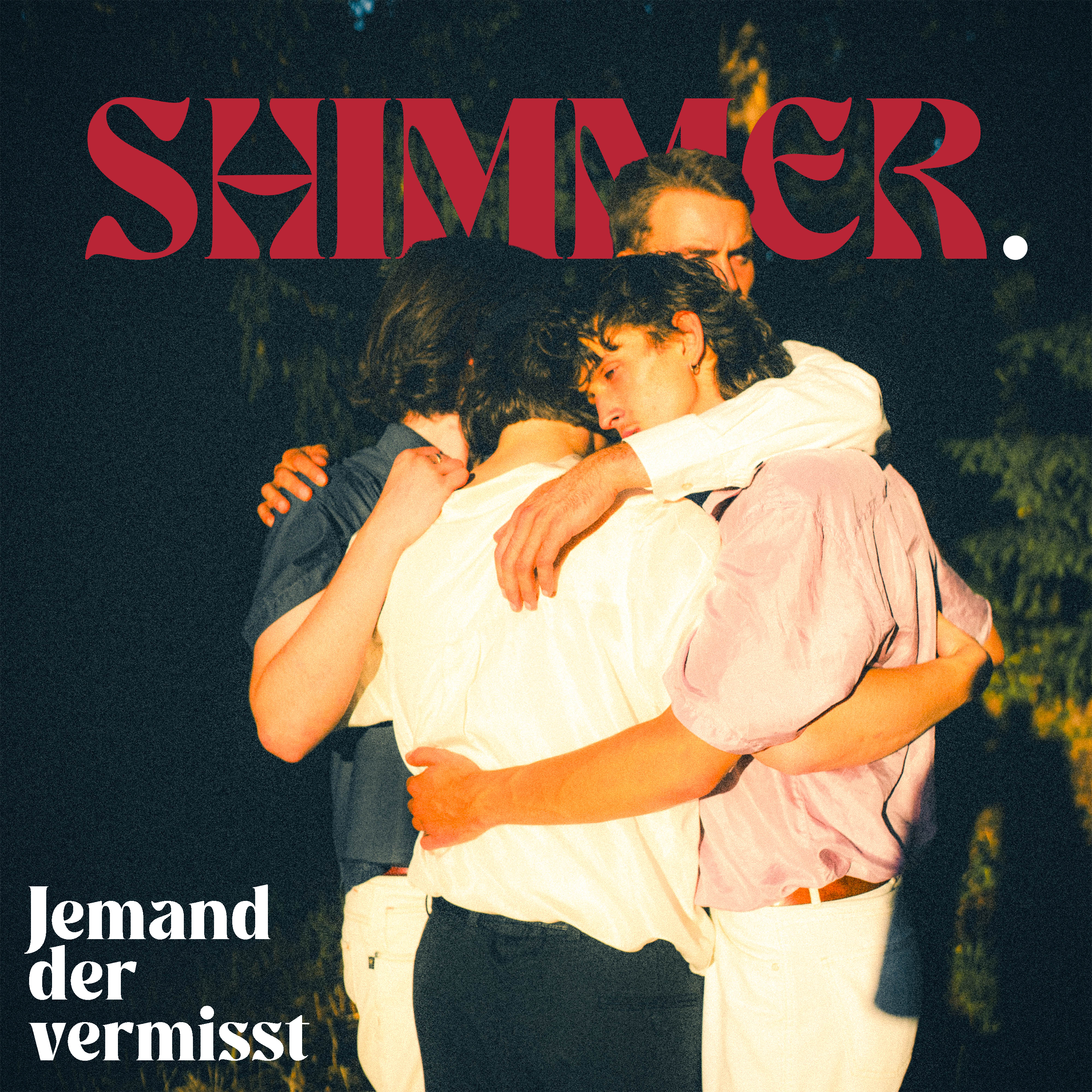Songcover "Jemand der vermisst"