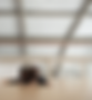 Mitmachen_Banner.png