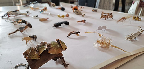 WhatsApp Image 2024-10-20 at 23.27.56_552cbb2f.jpg