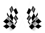 Racing-Flag-Download-PNG.png