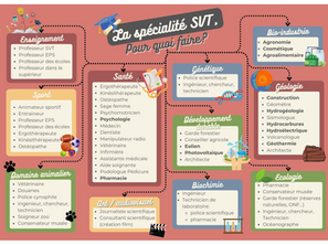 Infos pour le choix des Spé.